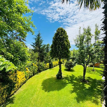 Treekos Suite Hotel Arnavutkoy Eksteriør billede