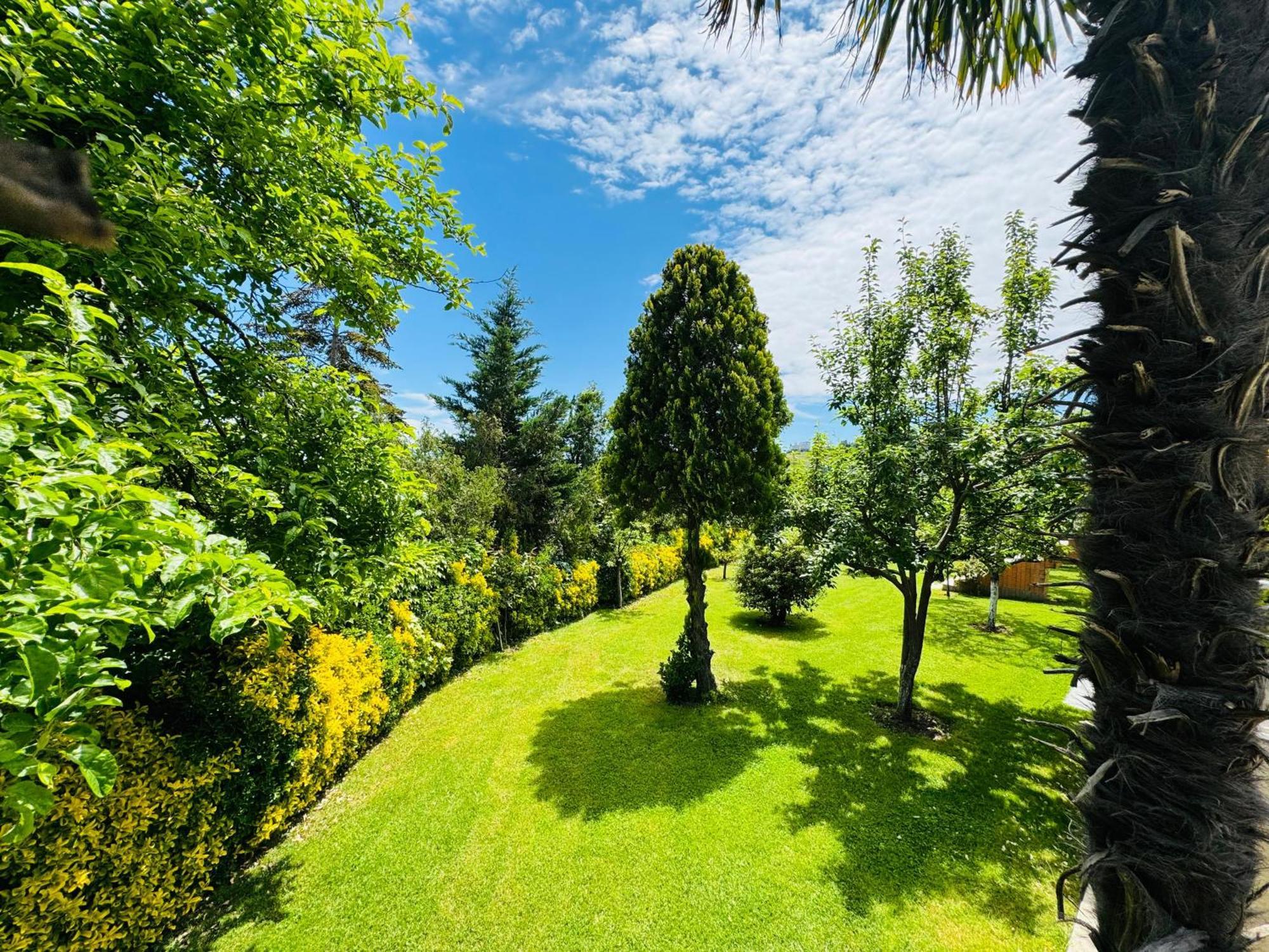 Treekos Suite Hotel Arnavutkoy Eksteriør billede